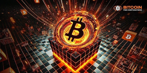 比特币底部临近？CryptoQuant数据显示比特币投降信号，92%持有者处于亏损状态