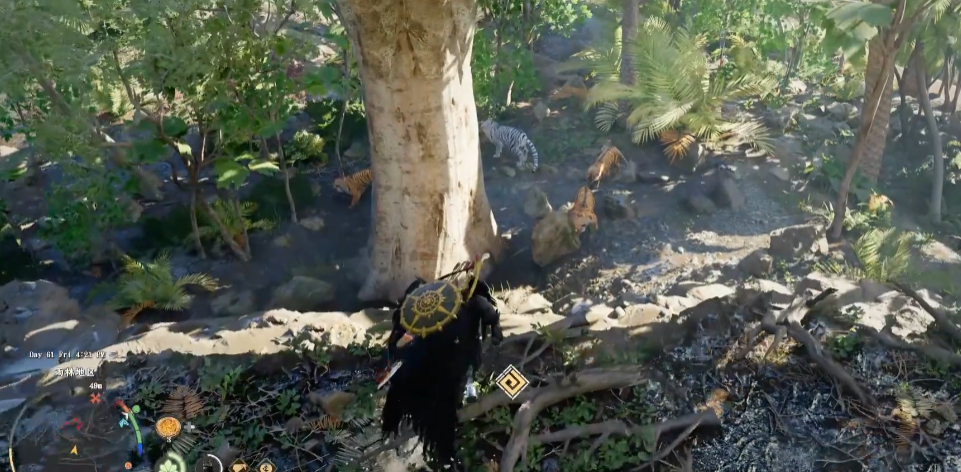 《红色沙漠》虎牙戒指获取攻略分享