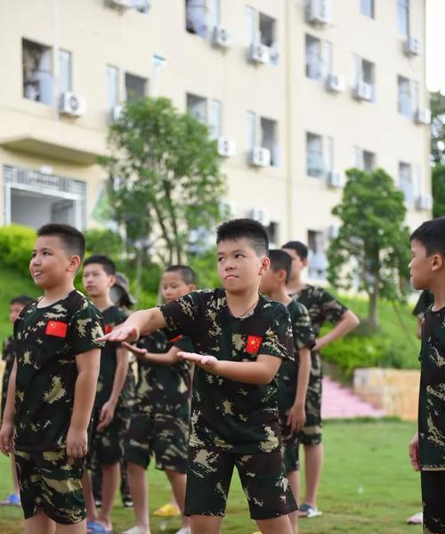 亮剑2特战技能加点攻略(亮剑2特战技能加点攻略,打造无敌战斗团队)-第1张图片- 亮剑2特战技能加点攻略(亮剑2特战技能加点攻略,打造无敌战斗团队)-第1张图片-