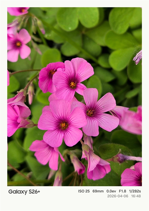 第五代骁龙8至尊版加持！三星Galaxy S26+手机体验评测：轻薄与性能兼得