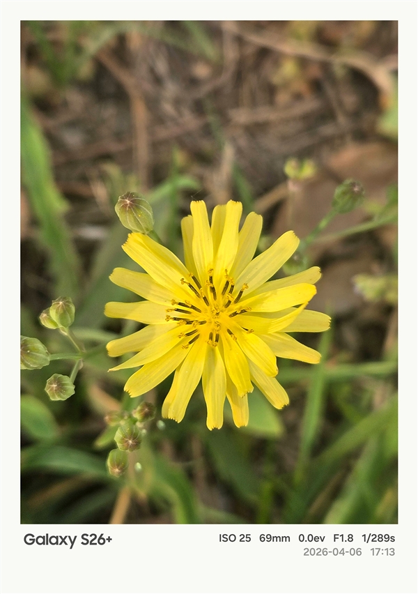 第五代骁龙8至尊版加持！三星Galaxy S26+手机体验评测：轻薄与性能兼得