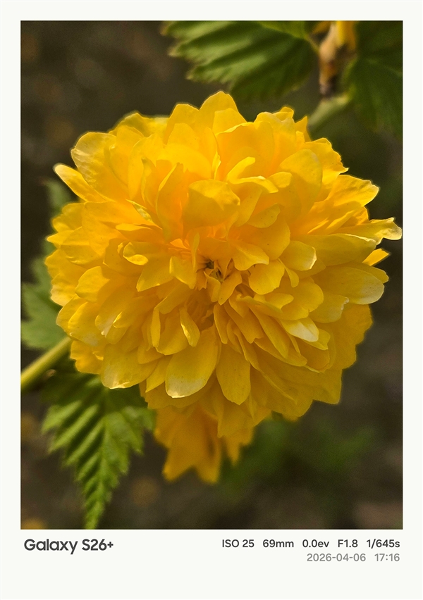 第五代骁龙8至尊版加持！三星Galaxy S26+手机体验评测：轻薄与性能兼得