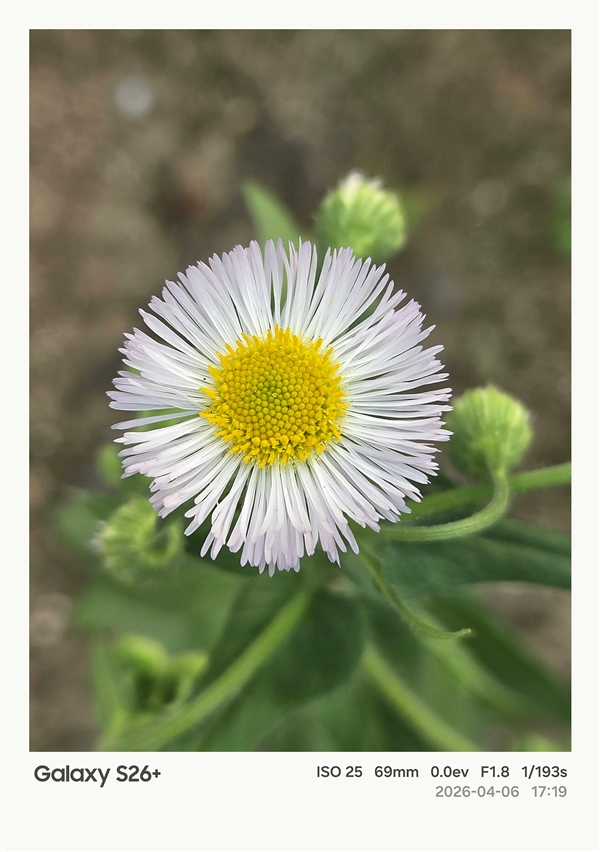 第五代骁龙8至尊版加持！三星Galaxy S26+手机体验评测：轻薄与性能兼得