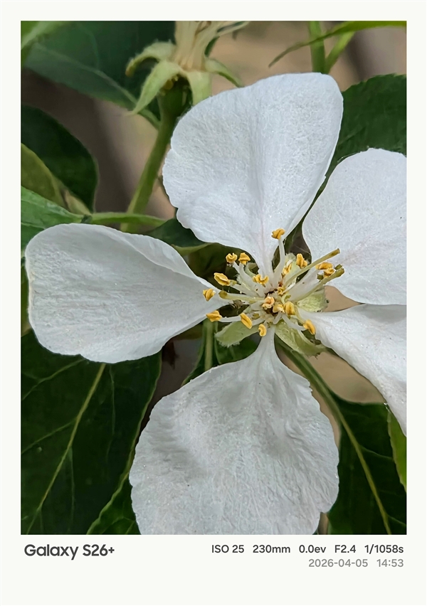 第五代骁龙8至尊版加持！三星Galaxy S26+手机体验评测：轻薄与性能兼得