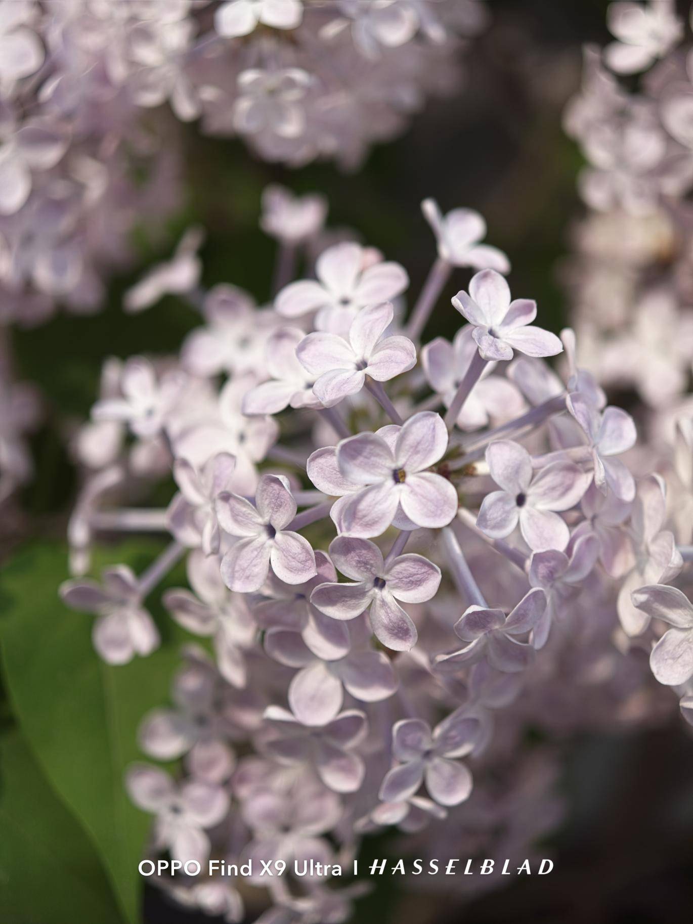 OPPO Find X9 Ultra全面评测 口袋哈苏，不来虚的