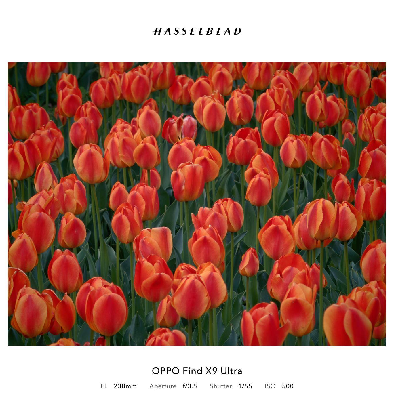 OPPO Find X9 Ultra全面评测 口袋哈苏，不来虚的