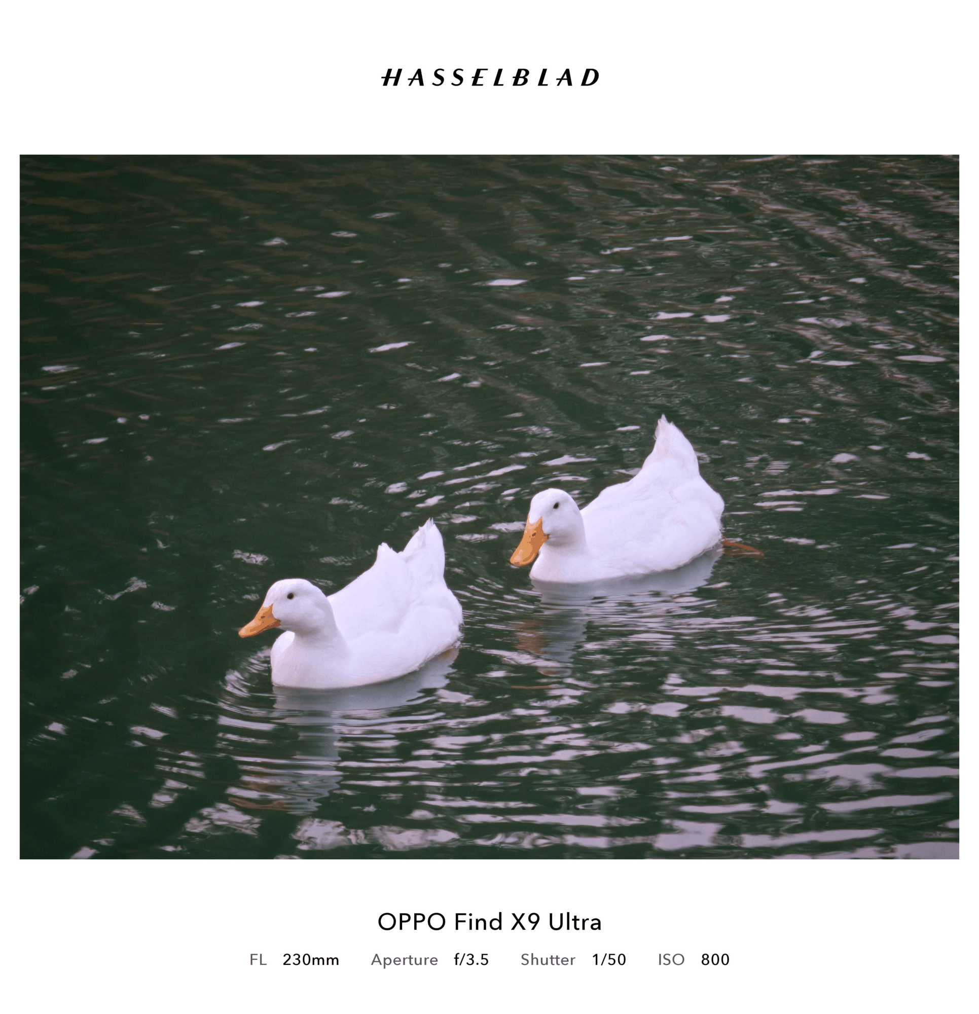 「内置增距镜」？OPPO Find X9 Ultra 哈苏10倍光变天眼长焦解析