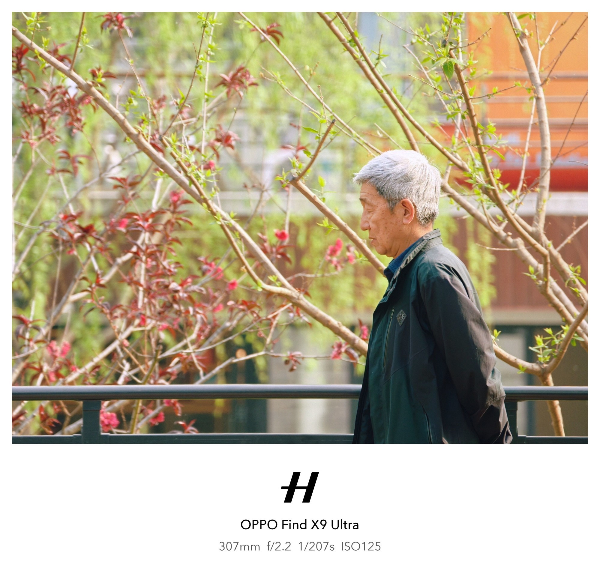 OPPO哈苏专业影像套装值得入手吗？实拍体验告诉你答案