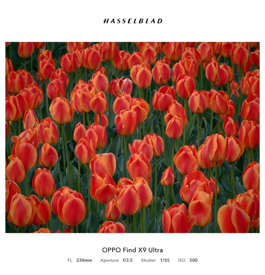 光学至上的口袋哈苏？5分钟看懂OPPO Find X9 Ultra值不值