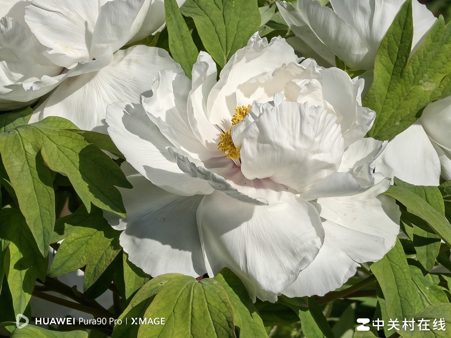 华为Pura 90 Pro上手评测：更具时尚感的影像旗舰