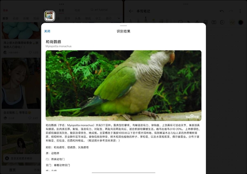 A4 黄金屏+满血性能！OPPO Pad 5 Pro全面评测：告别爱奇艺 这款平板才是真生产力