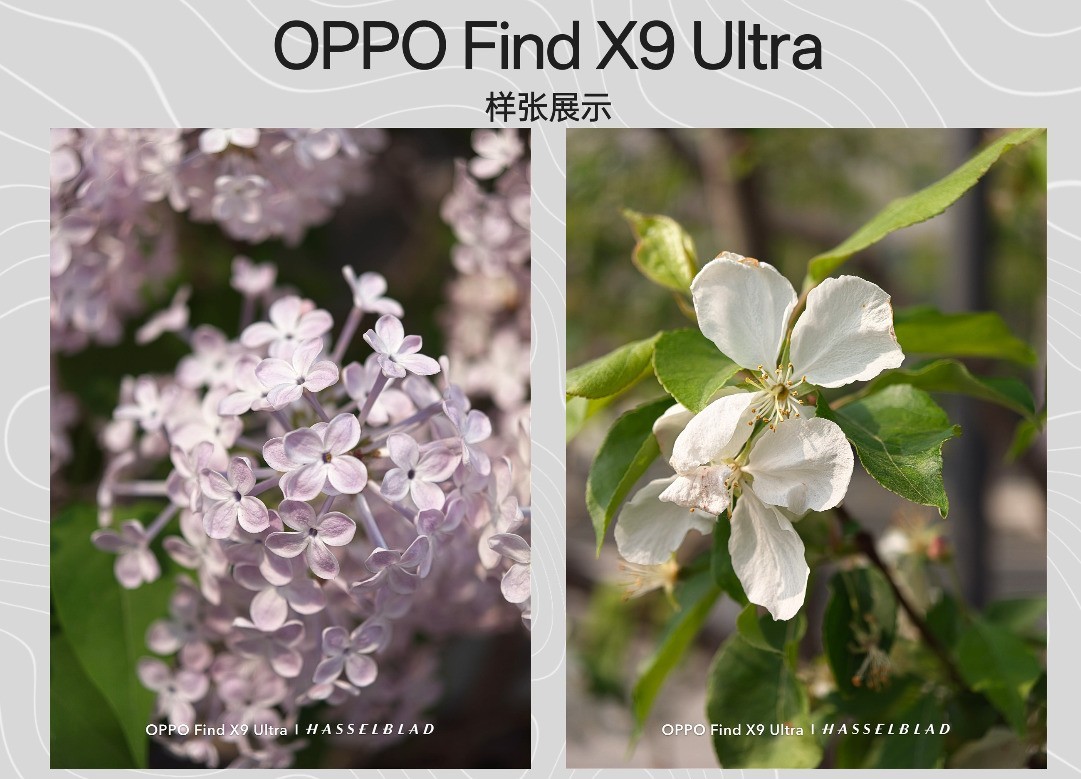OPPO Find X9 Ultra上手体验：口袋里的哈苏，到底有多能打？