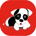 旺财看家(