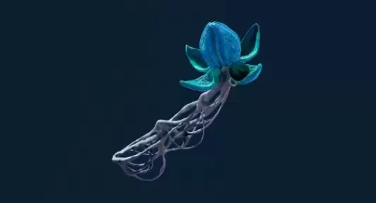 《深海迷航2：异星水域》布鲁姆寄生虫特点介绍
