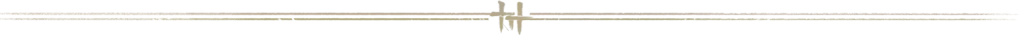 img_6a1177ff09b5b30.webp