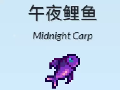 午夜鲤鱼 午夜鲤鱼