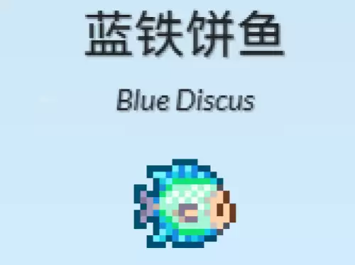 蓝铁饼鱼 蓝铁饼鱼