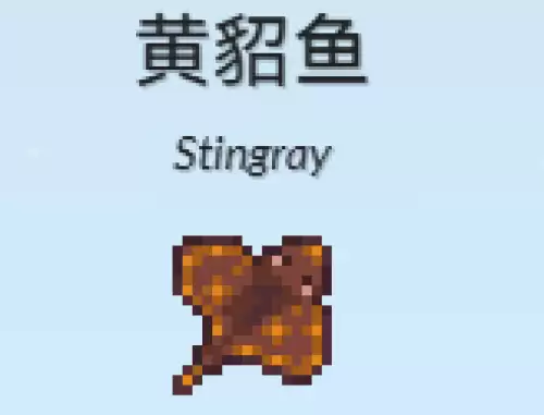 黄貂鱼 黄貂鱼