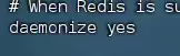 Redis初识、Redis的安装与启动、Redis命令及Java客户端详解