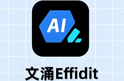 Effidit网页版地址