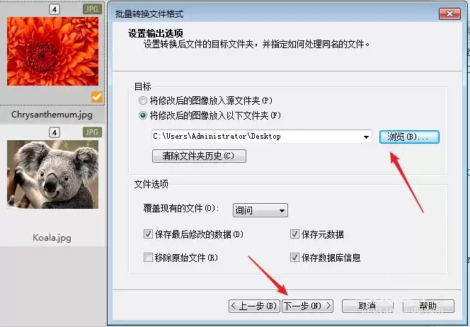 img_6a1e970fb2bf336.webp