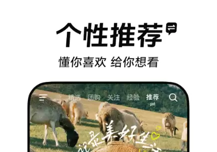 img_6a1e9aa4a465134.webp