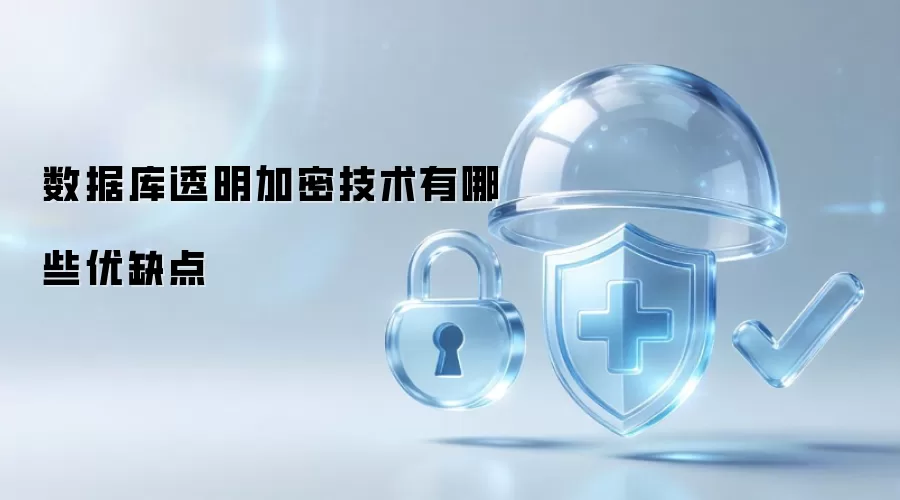 数据库透明加密技术有哪些优缺点