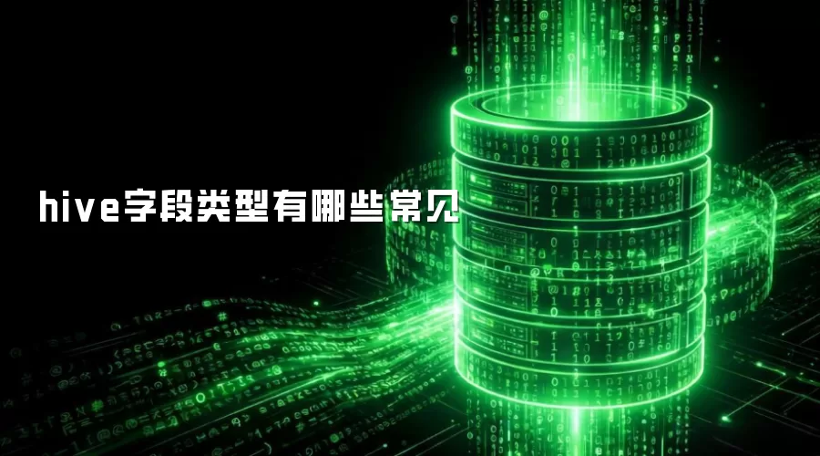 hive字段类型有哪些常见