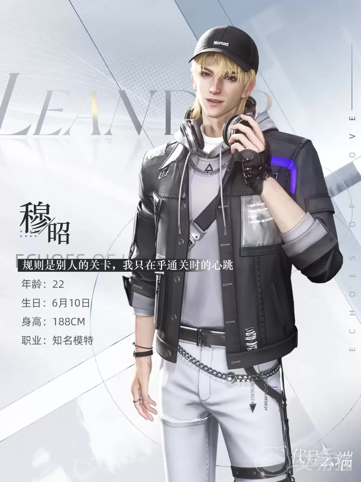img_6a20fb8871a0c33.webp