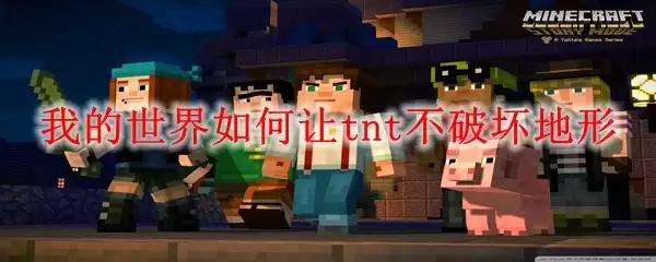 img_6a210614a2e7330.webp