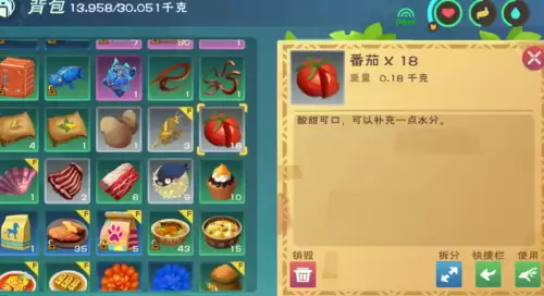 创造与魔法番茄酱