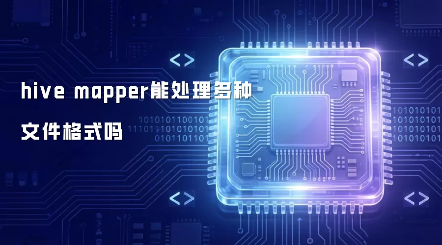hive mapper能处理多种文件格式吗
