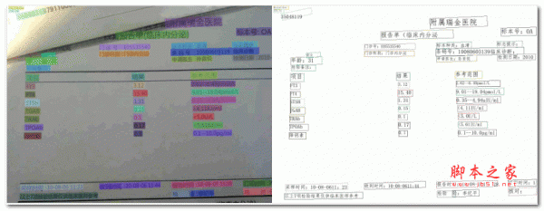 PaddleOCR工具库 v3.0.1