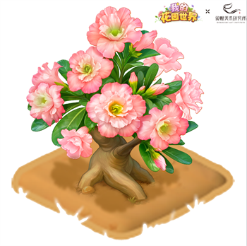 img_6a2231eb3576035.png