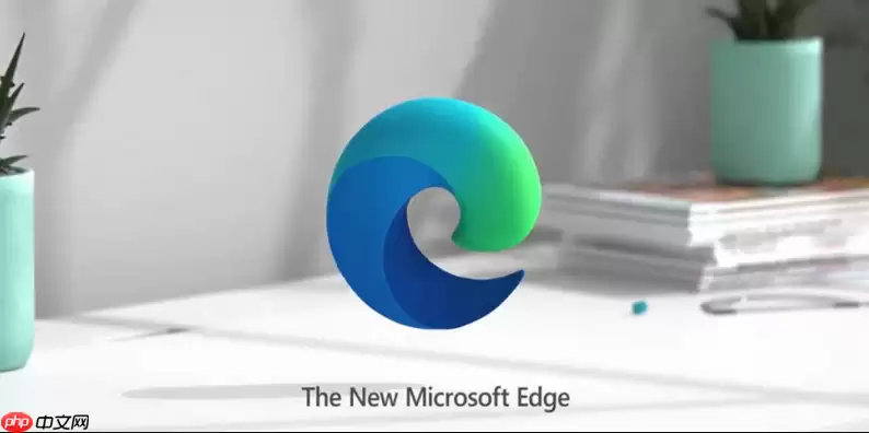 edge浏览器如何解决网页声音无法播放的问题 edge浏览器音频输出与站点静音设置