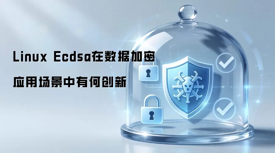 Linux Ecdsa在数据加密应用场景中有何创新