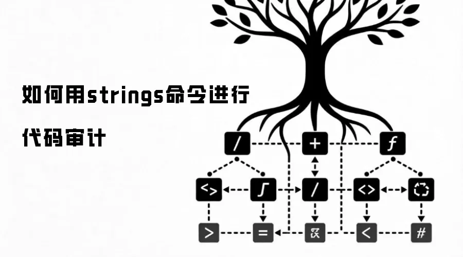 如何用strings命令进行代码审计