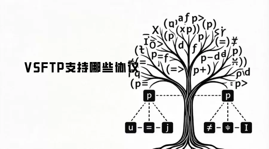 VSFTP支持哪些协议
