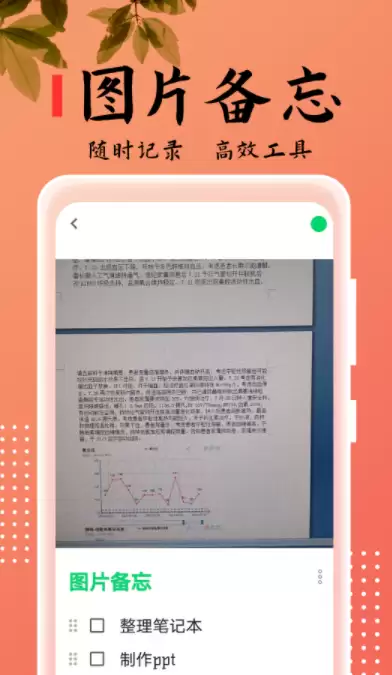 img_6a2397f2aa76531.webp