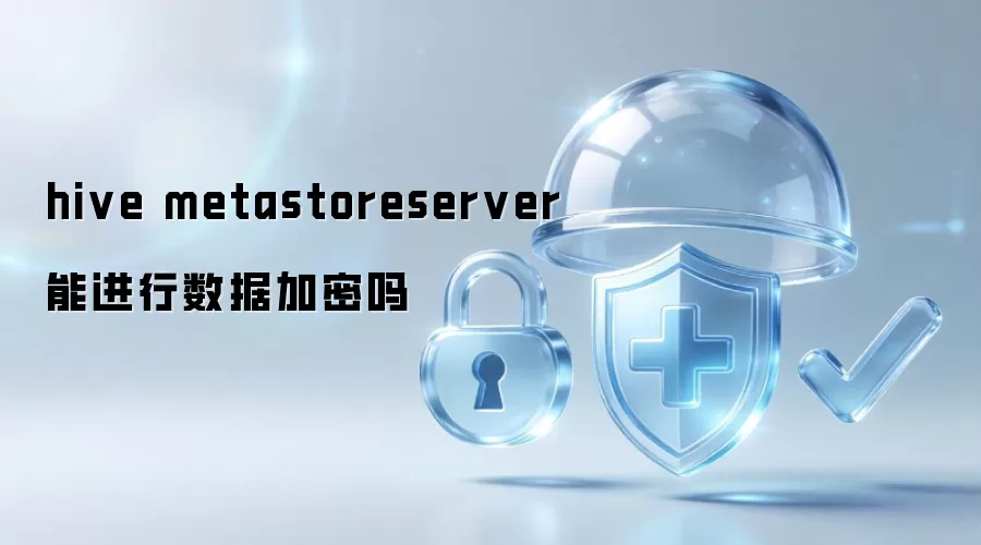 hive metastoreserver能进行数据加密吗