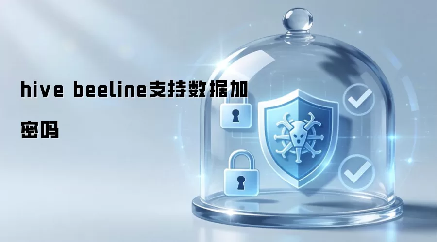 hive beeline支持数据加密吗