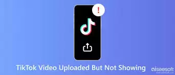 TikTok视频无法上传的原因是什么