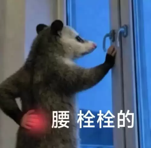 背手负鼠表情包1