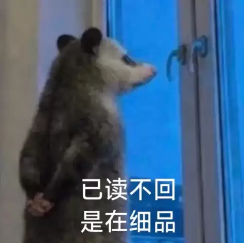 背手负鼠表情包2