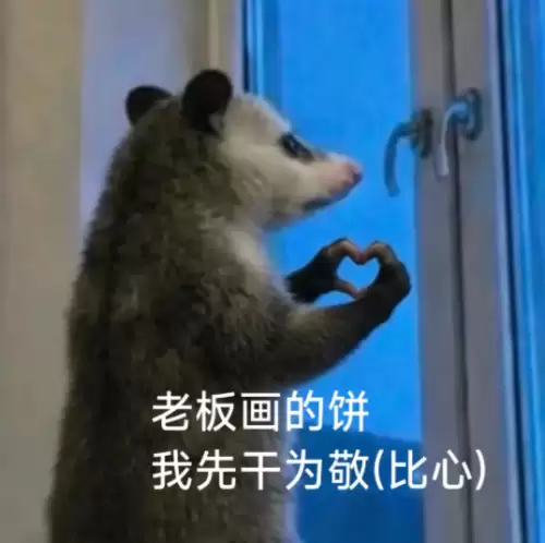 背手负鼠表情包3