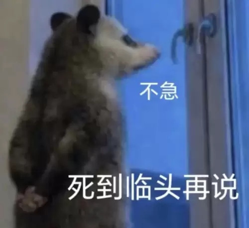 背手负鼠表情包4