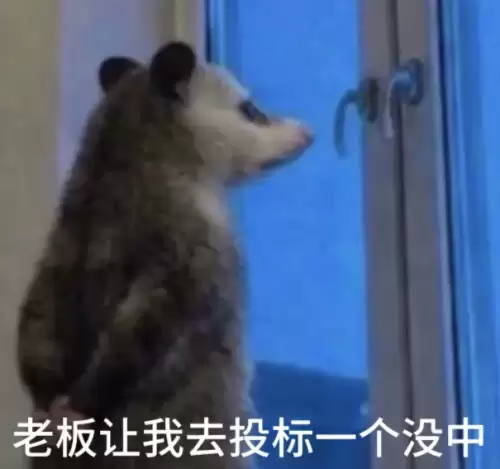 背手负鼠表情包5