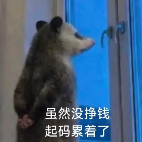背手负鼠表情包7