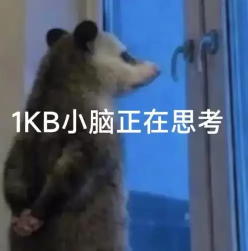 背手负鼠表情包8