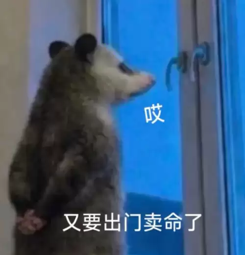 背手负鼠表情包10